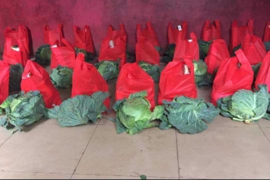 3世帯に食料支援の画像