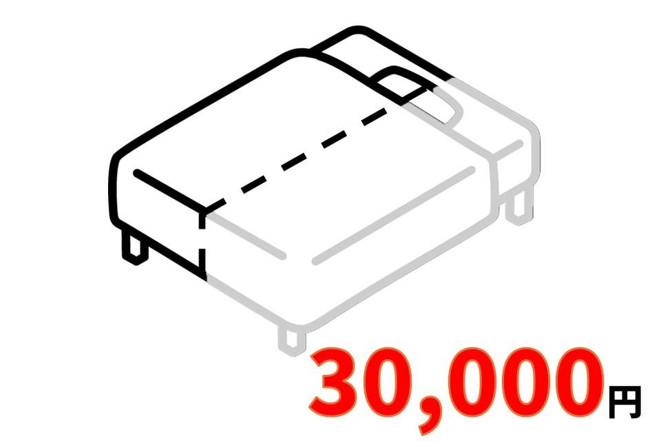 ベッド1/2台分入替プランの画像