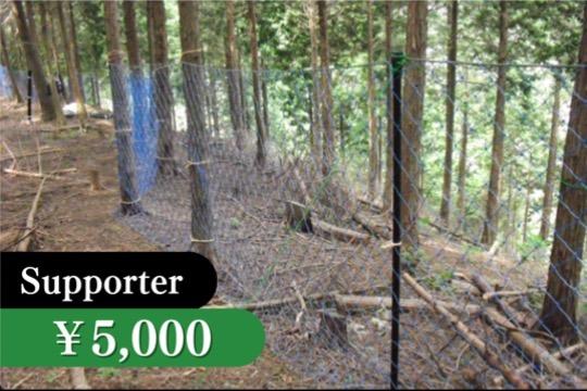 鳥獣被害から森を守る活動支援の画像