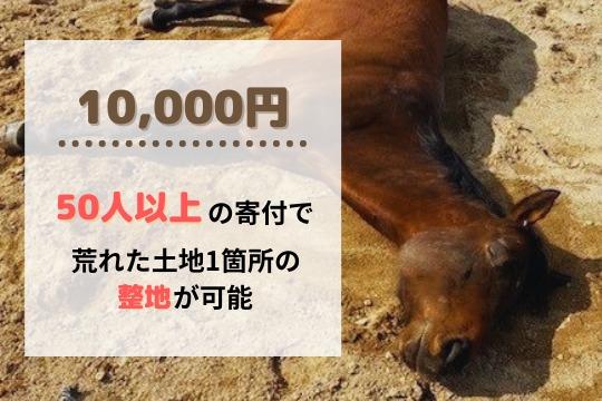 御礼・特典の画像