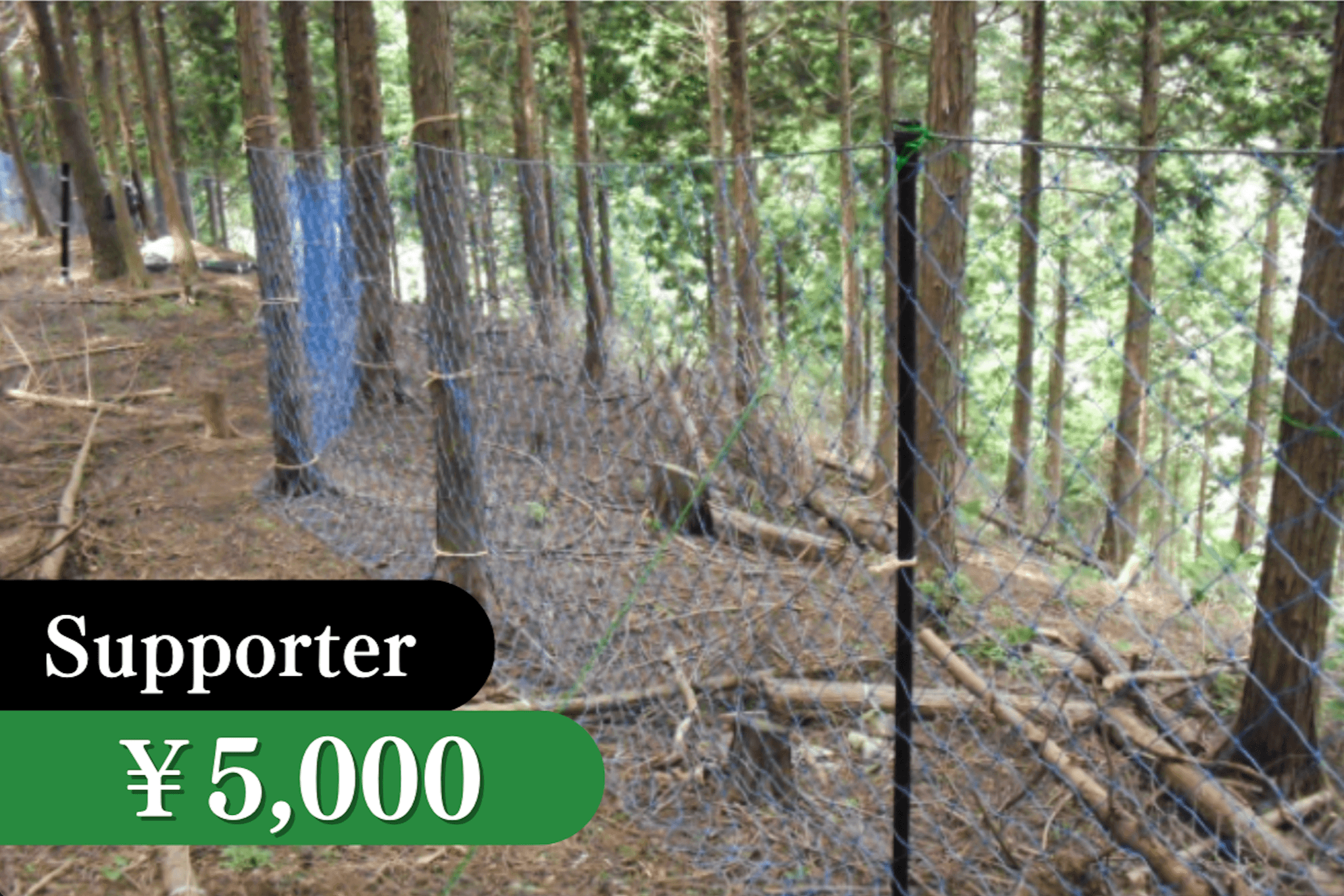 鳥獣被害から森を守る活動支援の画像