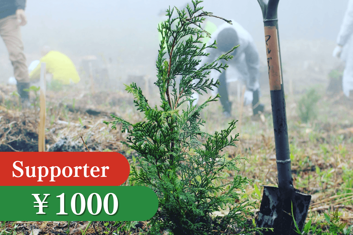 苗木1本の寄付 Image