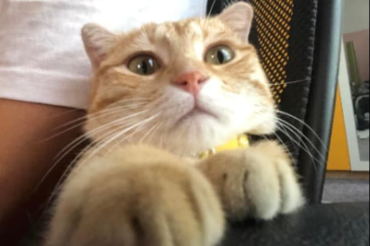 サンはすごくありがとうって思います! Image