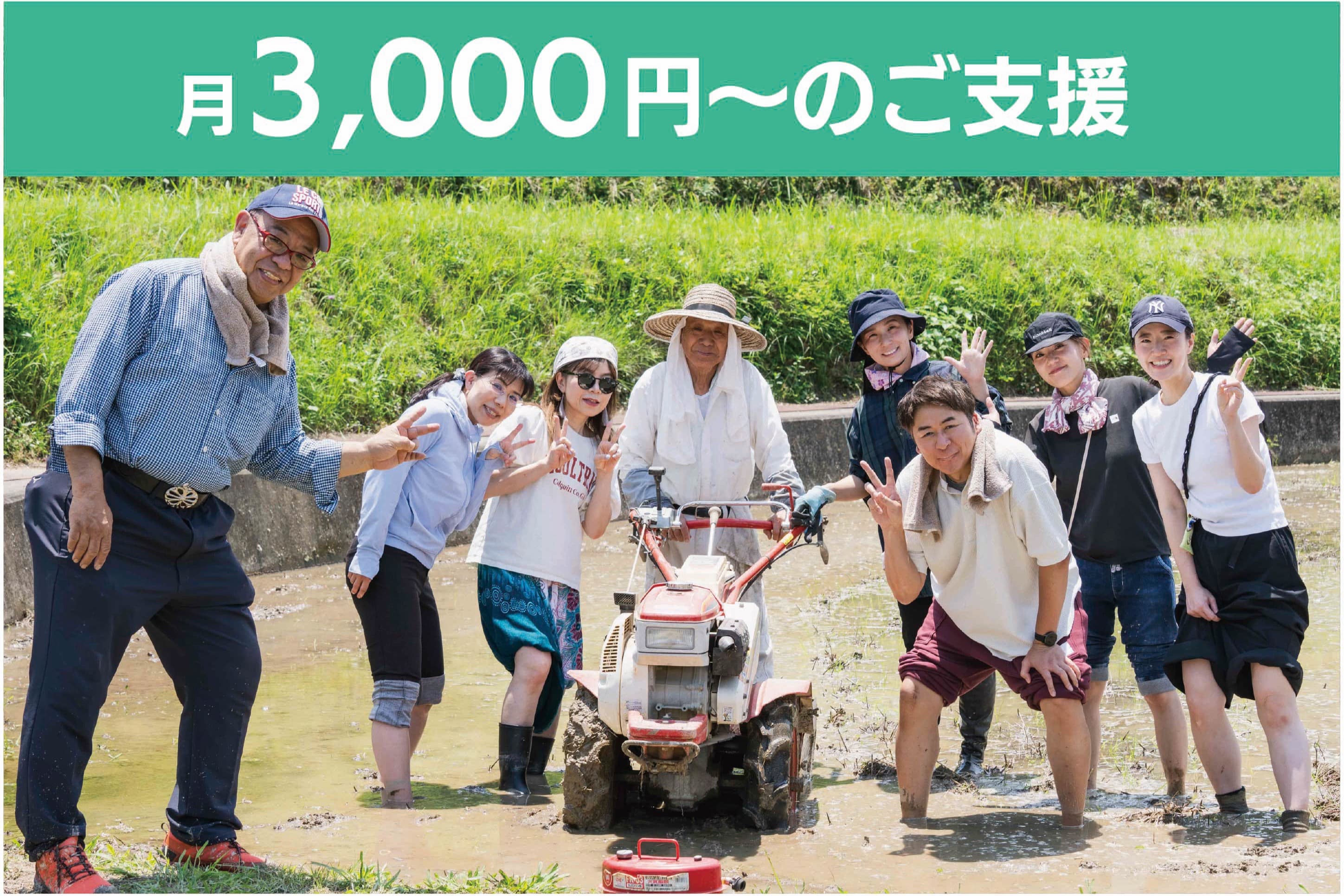 月3000円のご支援の画像