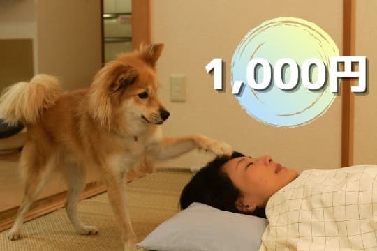 【御礼・特典】の画像