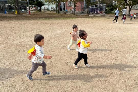 鳥取方式のポット苗方式芝生Bプラン Image