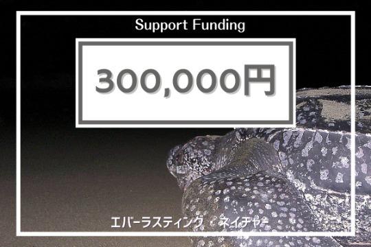ご寄付でできることの画像