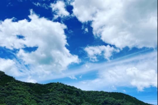 交通費、人件費の画像