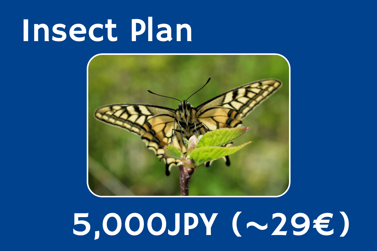 Insect Planの画像