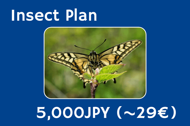 Insect Planの画像