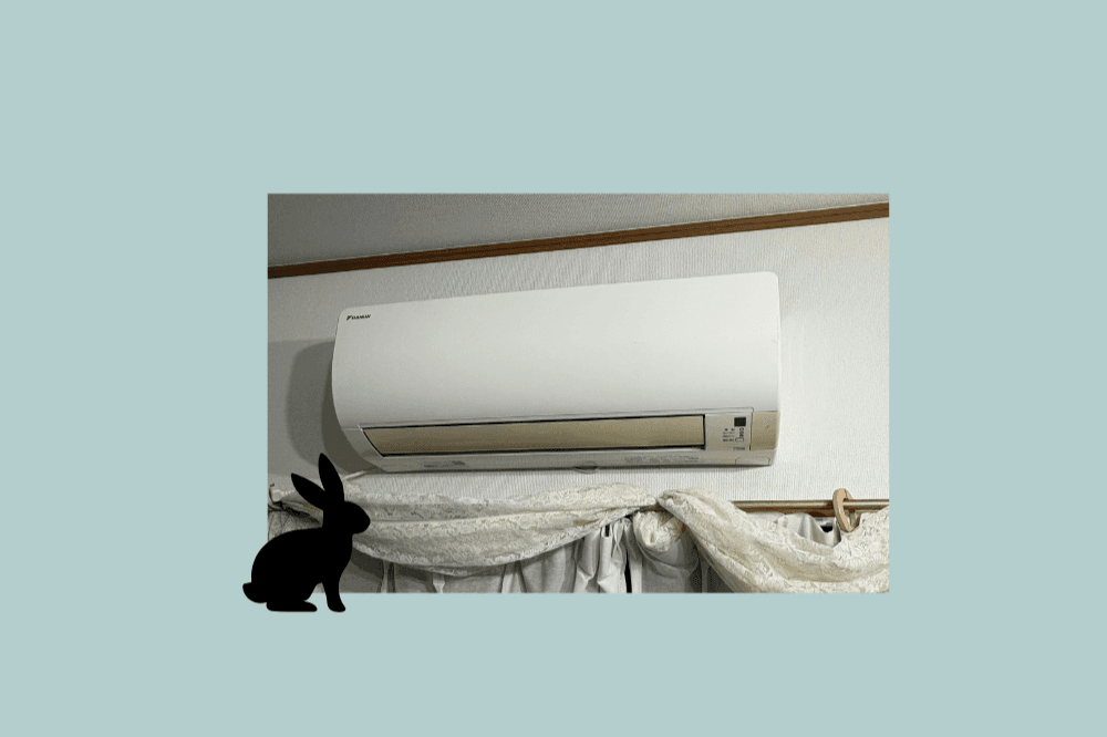 10,000円コースの画像