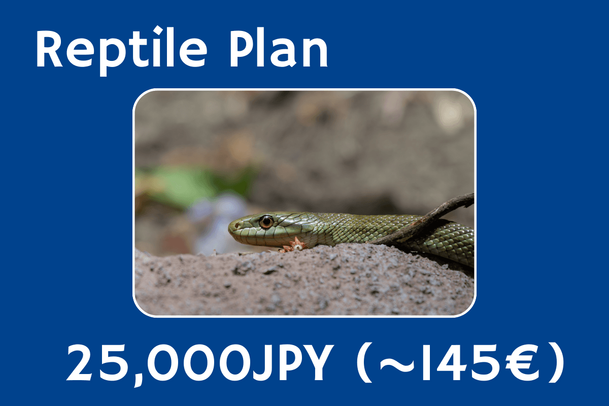Reptile Planの画像