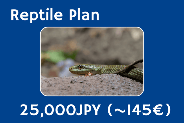 Reptile Planの画像