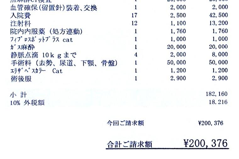 治療費の協力と今後の基金の画像