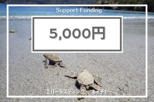 ご寄付でできることの画像