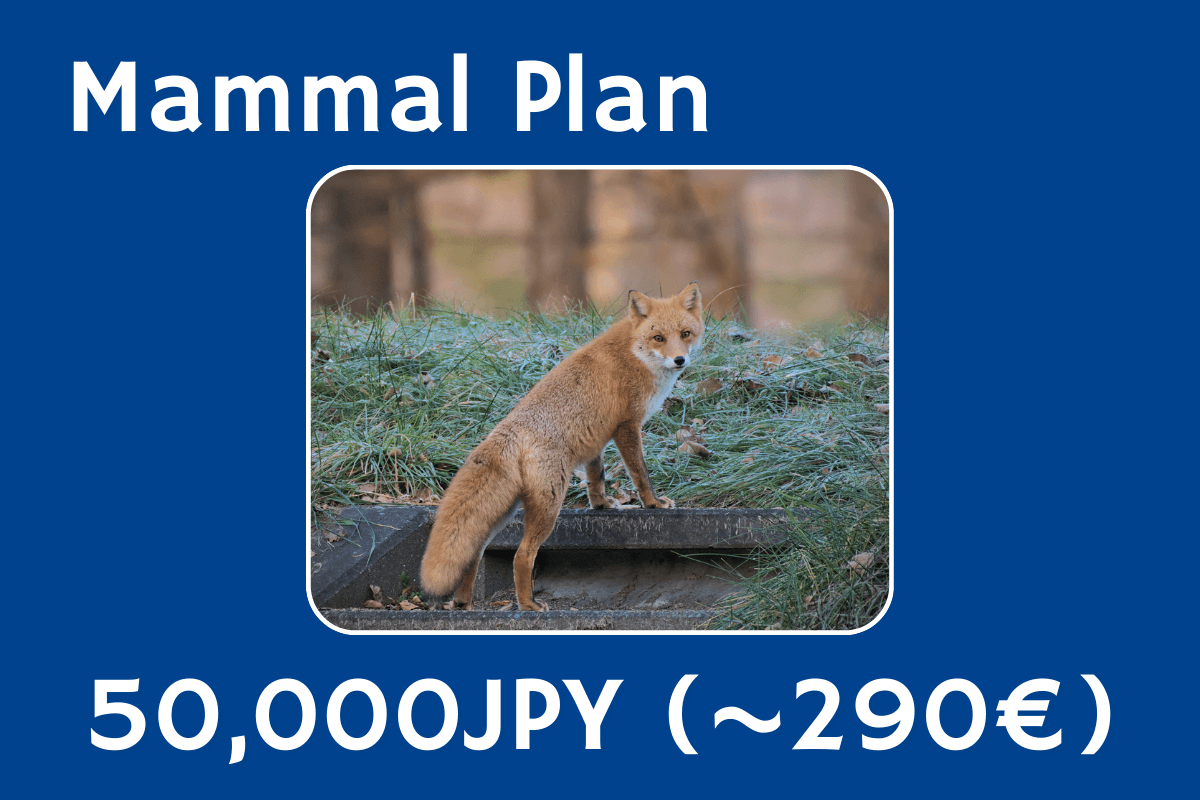 Mammal Planの画像