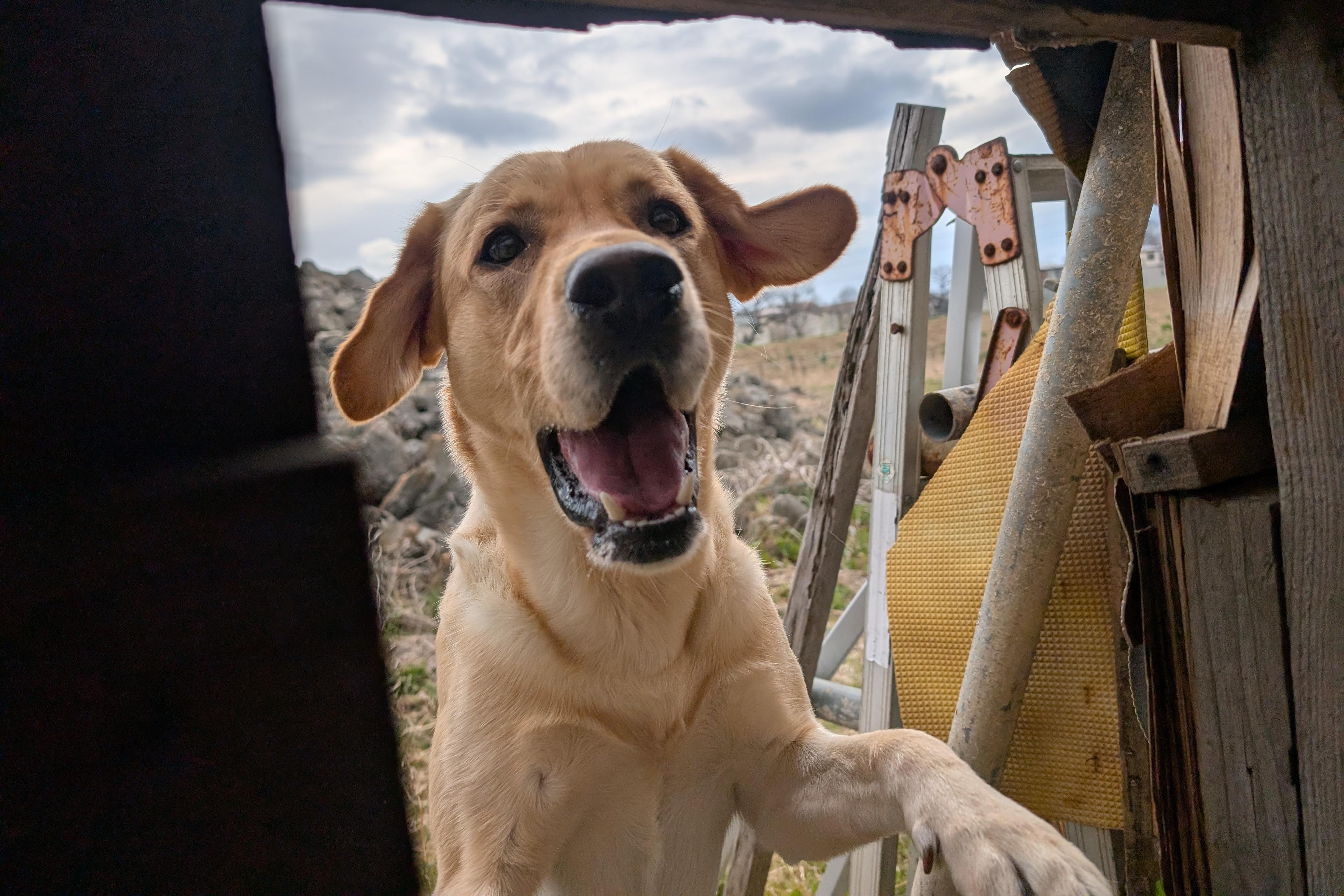 県外への遠征訓練費(1回)の画像