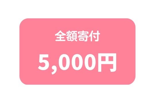 ●全額寄付コース(寄付金控除対象・リターン無し)の画像