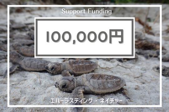 ご寄付でできることの画像