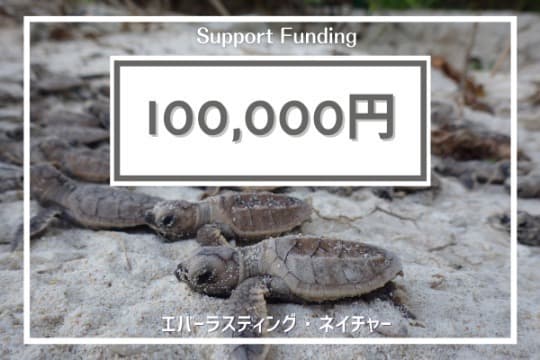 ご寄付でできることの画像