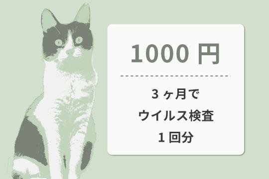 【御礼・特典】の画像