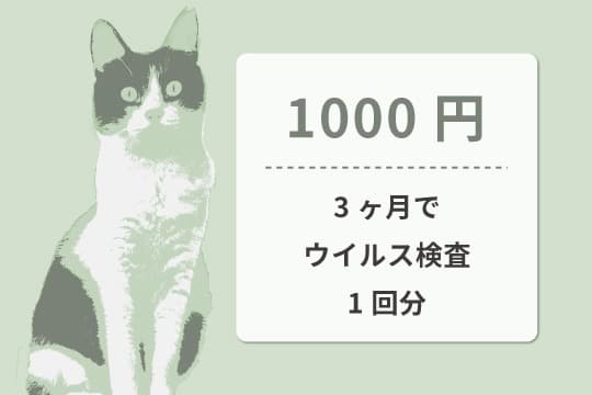 【御礼・特典】の画像