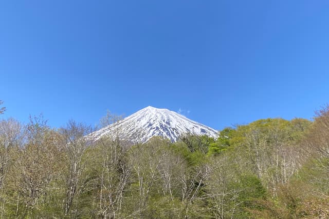 富士山麓の森保全のための支援 Image