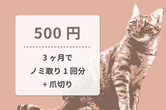 【御礼・特典】の画像