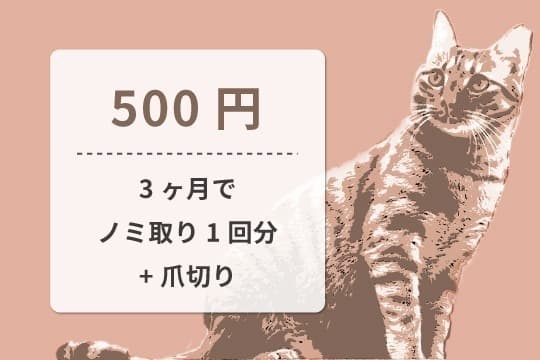 【御礼・特典】の画像