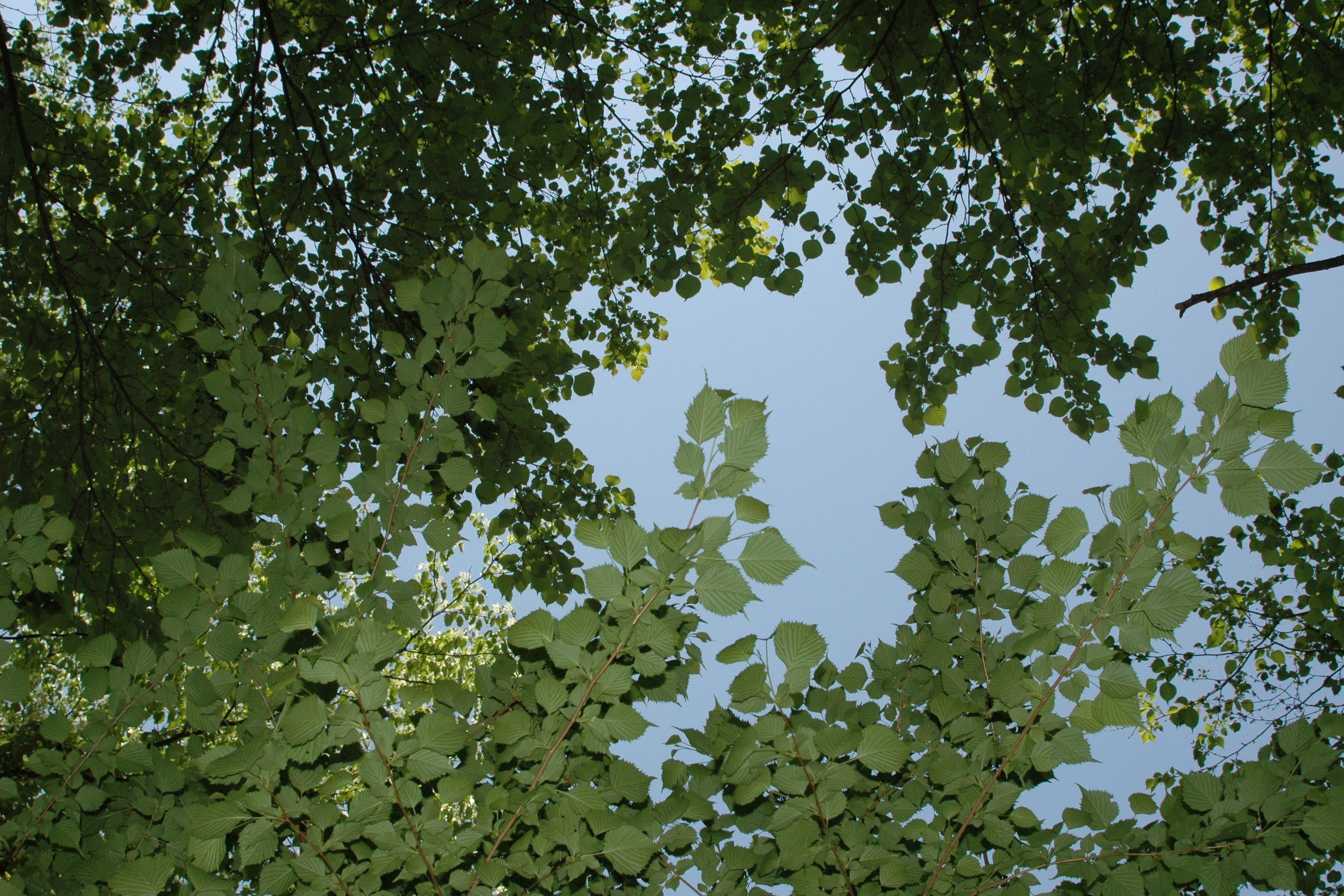 予期せぬ生活困窮をサポートの画像