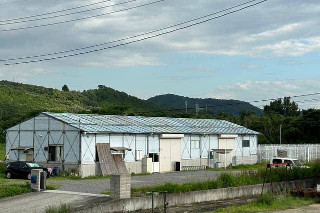 保護犬猫シェルターの屋根の修繕費として使わせて頂きます。お礼状をお送りします。 Image