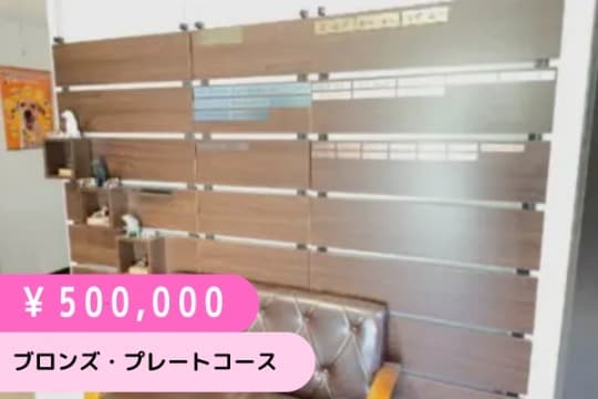 ブロンズ・プレートコース(500,000円)の画像