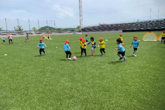 鳥取方式のポット苗方式芝生化Cプラン Image