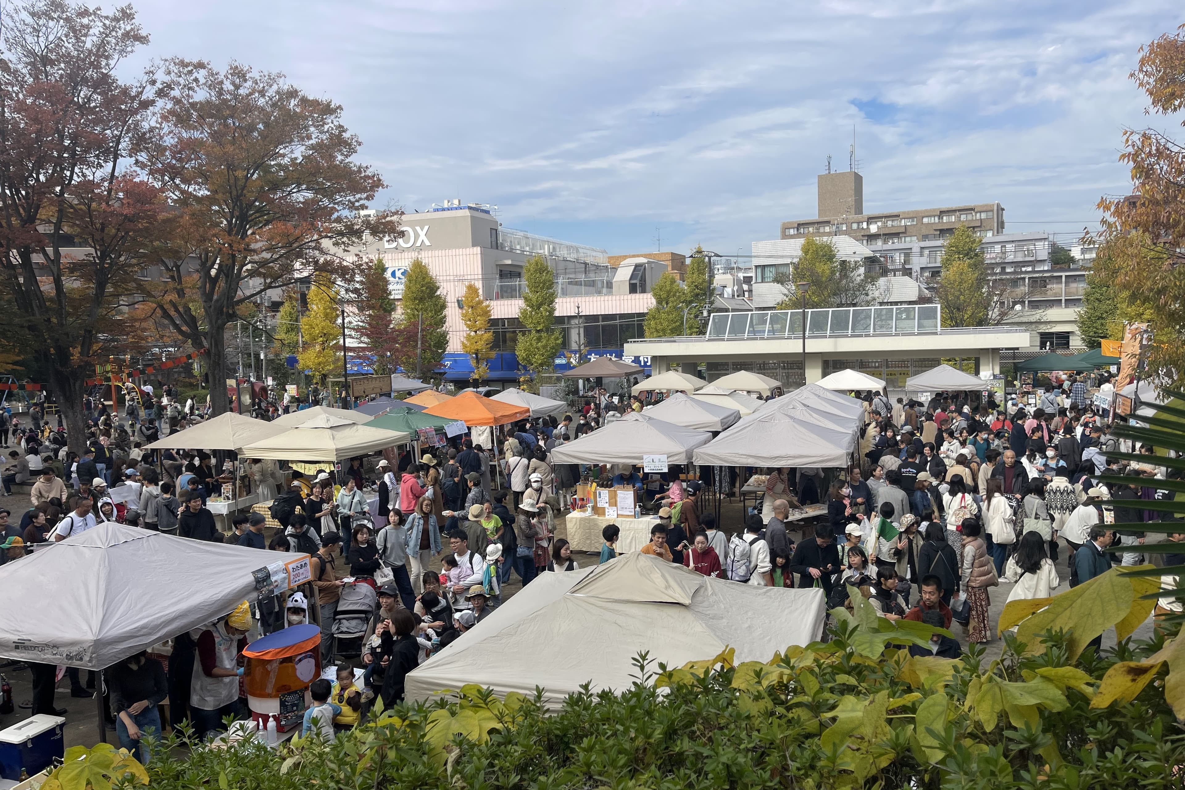 あおばを食べる収穫祭(11/23月・祝@藤が丘駅前公園)の応援につながる! (お礼)当日使用可能な1000円クーポンの画像