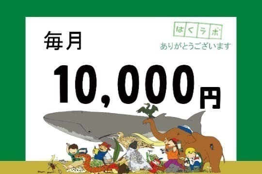 【博物館のみらい】サポーター Image