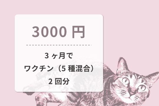 【御礼・特典】の画像
