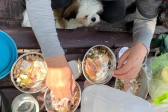 1回分のボクたち2頭分の特別食代になりますの画像