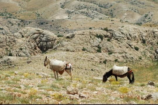 Mさん一家を応援の画像