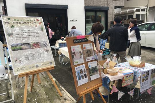 の画像
