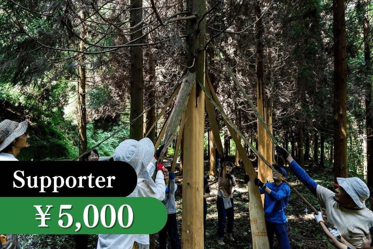 皮剥き間伐体験・優先案内権の画像