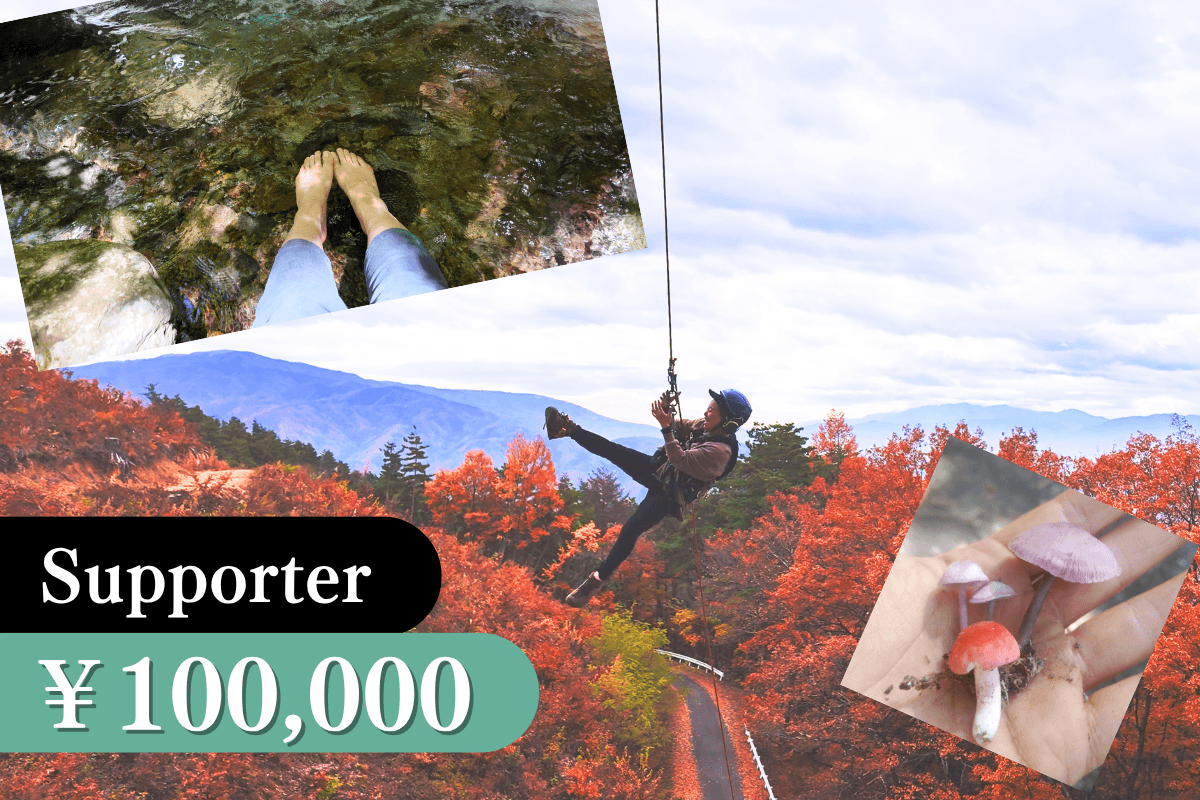 森と繋がる&楽しむオーダーメイドツアー参加権の画像