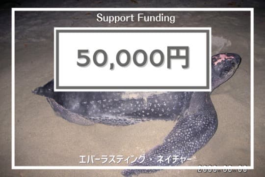 ご寄付でできることの画像