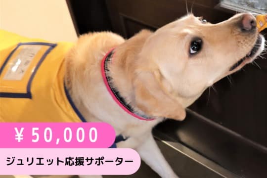ジュリエット応援サポーター(50,000円)の画像