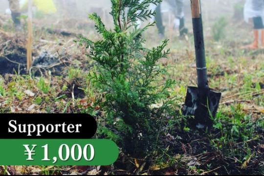 苗木1本の寄付の画像