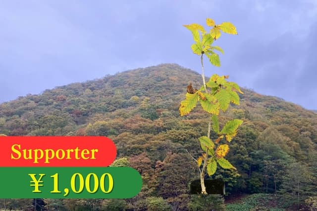 北海道の森を知る応援 Image