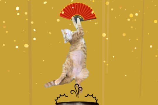 サンはすっごくありがとうって思います! Image
