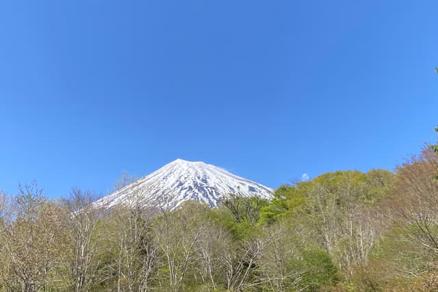 一緒に森の応援 (企業向)の画像