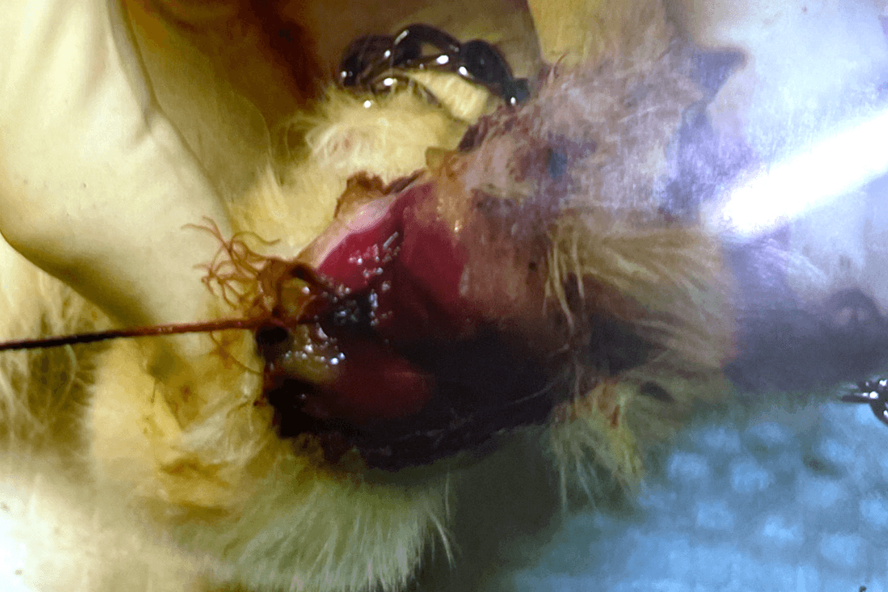 通院費用、包帯や薬などケア用品代の一部 Image