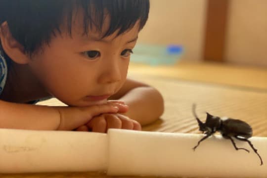 朝と夜にお子さんを預かれる園舎を確保の画像