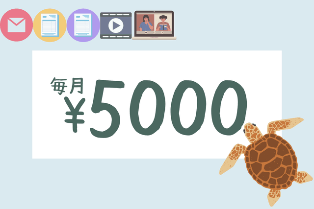 約22,500個の卵を守ることで、将来的に次世代の生産を担う親ガメ年間約10頭生み出すことができます!の画像